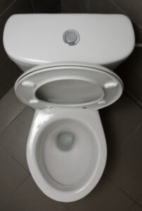a-brand-new-toilet
